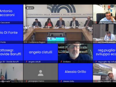 La Commissione Ambiente incontra il Ministro Pichetto Fratin - 18.10.2023